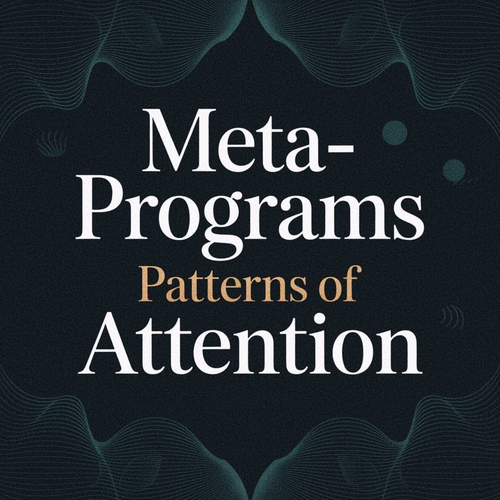 Meta-Programs Patterns of Attention and Preference